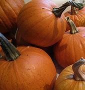 turn into a pumpkin